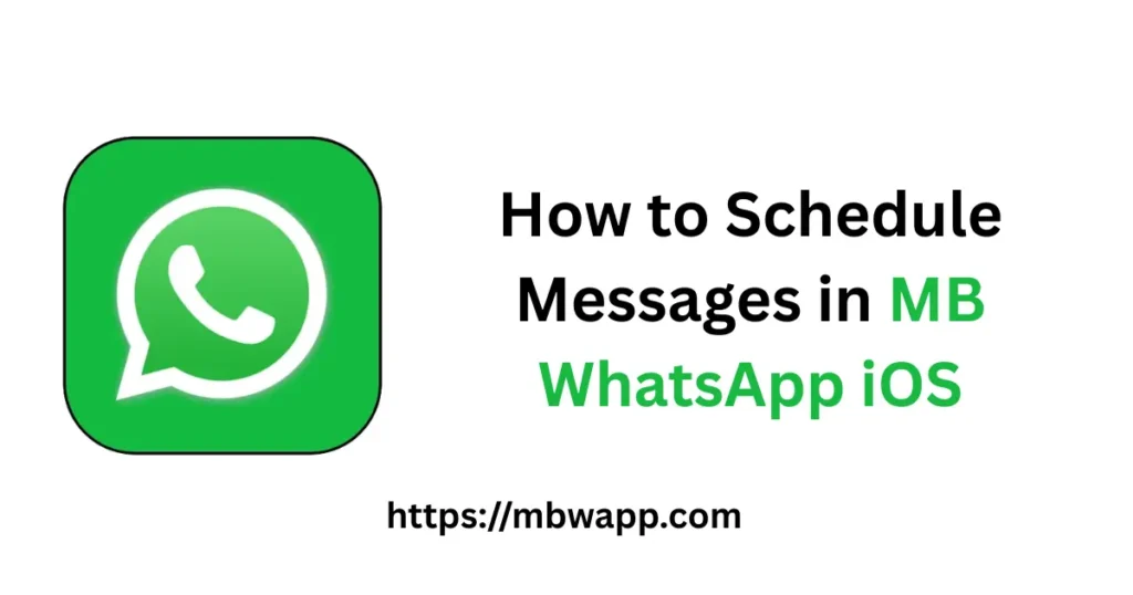 How to Schedule Messages in MB WhatsApp iOS