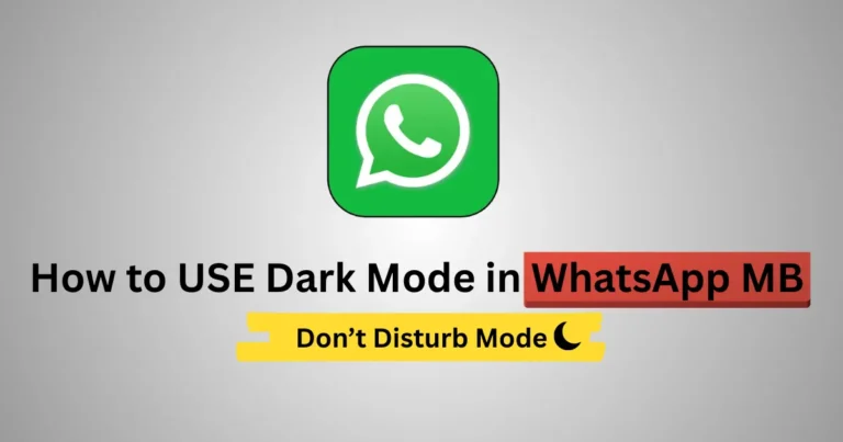 How to USE Dark Mode in WhatsApp MB