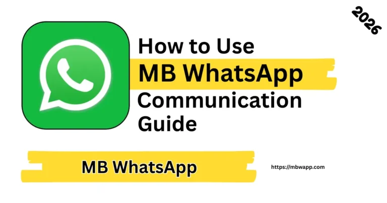 How to Use MB WhatsApp for Business Communication